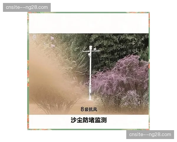 环境传感器接入调度逻辑 极端天气预警实现自动化